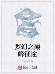 梦幻之巅峰征途