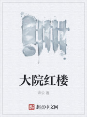 大院红楼