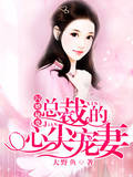 闪婚秘爱：总裁的心尖宠妻