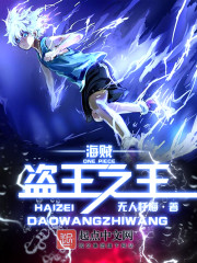 海贼之盗王之王