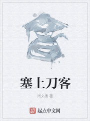 塞上刀客